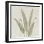 Watercolor Forest Ferns II v2-Albena Hristova-Framed Art Print