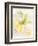 Watercolor Fruit II-Naomi McCavitt-Framed Art Print