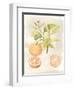 Watercolor Fruit V-Naomi McCavitt-Framed Art Print