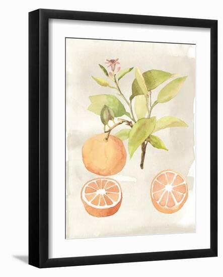 Watercolor Fruit V-Naomi McCavitt-Framed Art Print