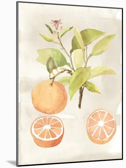 Watercolor Fruit V-Naomi McCavitt-Mounted Art Print