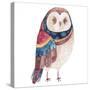 Watercolor Funny Kids Illustration with Owl. Hand Drawn Animal Drawing. Owl Bird Painting. Perfect-Maria Sem-Stretched Canvas