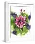 Watercolor Garden I-Irina Trzaskos Studio-Framed Giclee Print