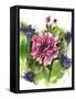 Watercolor Garden I-Irina Trzaskos Studio-Framed Stretched Canvas