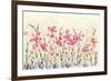 Watercolor Garden-Elyse DeNeige-Framed Art Print