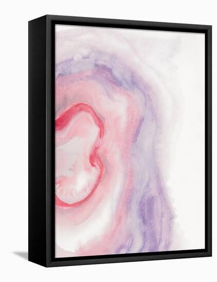 Watercolor Geode VIII-Chris Paschke-Framed Stretched Canvas