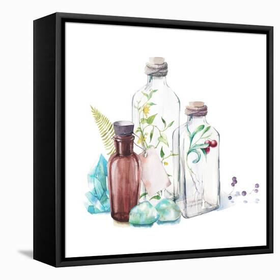 Watercolor Glass Bottles, Sprouts of Plants, Fern Leaf, Berries and Gem Stones-Eisfrei-Framed Stretched Canvas