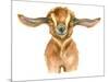 Watercolor Goat Head Isolated on White Background. Hand Drawn Watercolor Goat Perfect for Design Gr-Ivan Feoktistov-Mounted Art Print