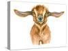 Watercolor Goat Head Isolated on White Background. Hand Drawn Watercolor Goat Perfect for Design Gr-Ivan Feoktistov-Stretched Canvas