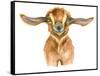 Watercolor Goat Head Isolated on White Background. Hand Drawn Watercolor Goat Perfect for Design Gr-Ivan Feoktistov-Framed Stretched Canvas