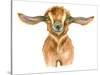 Watercolor Goat Head Isolated on White Background. Hand Drawn Watercolor Goat Perfect for Design Gr-Ivan Feoktistov-Stretched Canvas