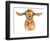 Watercolor Goat Head Isolated on White Background. Hand Drawn Watercolor Goat Perfect for Design Gr-Ivan Feoktistov-Framed Art Print