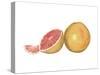 Watercolor Grapefruit-Michael Willett-Stretched Canvas
