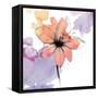 Watercolor Graphite Flower II-Avery Tillmon-Framed Stretched Canvas