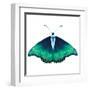 Watercolor Green Butterfly with Diamond-Eisfrei-Framed Art Print