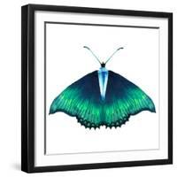 Watercolor Green Butterfly with Diamond-Eisfrei-Framed Art Print