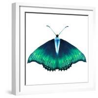 Watercolor Green Butterfly with Diamond-Eisfrei-Framed Art Print