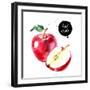 Watercolor Hand Drawn Red Apple. Isolated Eco Natural Food Fruit Illustration on White Background-Pim-Framed Art Print