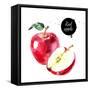 Watercolor Hand Drawn Red Apple. Isolated Eco Natural Food Fruit Illustration on White Background-Pim-Framed Stretched Canvas