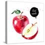 Watercolor Hand Drawn Red Apple. Isolated Eco Natural Food Fruit Illustration on White Background-Pim-Stretched Canvas