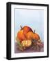 Watercolor Harvest II-Wild Apple Portfolio-Framed Art Print