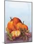 Watercolor Harvest II-Wild Apple Portfolio-Mounted Art Print