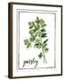 Watercolor Herbs II-Grace Popp-Framed Art Print