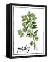 Watercolor Herbs II-Grace Popp-Framed Stretched Canvas