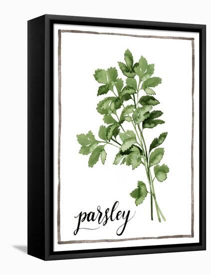 Watercolor Herbs II-Grace Popp-Framed Stretched Canvas