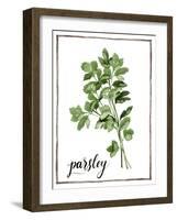 Watercolor Herbs II-Grace Popp-Framed Art Print