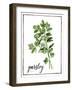 Watercolor Herbs II-Grace Popp-Framed Art Print