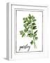 Watercolor Herbs II-Grace Popp-Framed Art Print