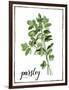 Watercolor Herbs II-Grace Popp-Framed Art Print