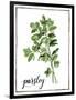 Watercolor Herbs II-Grace Popp-Framed Art Print