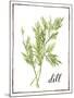 Watercolor Herbs III-Grace Popp-Mounted Art Print