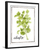 Watercolor Herbs IV-Grace Popp-Framed Art Print