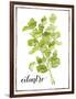 Watercolor Herbs IV-Grace Popp-Framed Art Print