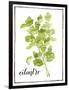 Watercolor Herbs IV-Grace Popp-Framed Art Print