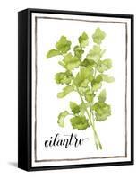 Watercolor Herbs IV-Grace Popp-Framed Stretched Canvas