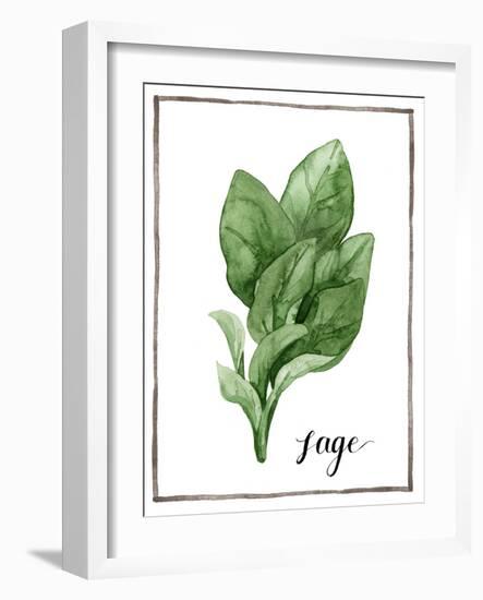 Watercolor Herbs VI-Grace Popp-Framed Art Print