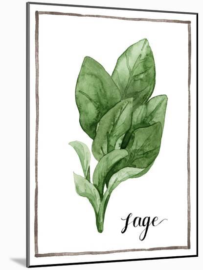 Watercolor Herbs VI-Grace Popp-Mounted Art Print