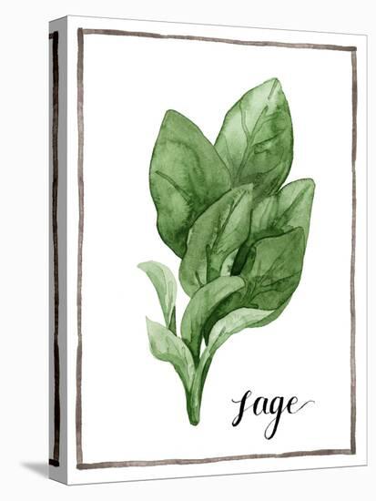 Watercolor Herbs VI-Grace Popp-Stretched Canvas