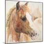 Watercolor Horse-Kamdon Kreations-Mounted Art Print