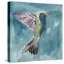 Watercolor Hummingbird I-Grace Popp-Stretched Canvas