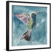 Watercolor Hummingbird I-Grace Popp-Framed Giclee Print