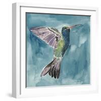 Watercolor Hummingbird I-Grace Popp-Framed Art Print