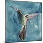 Watercolor Hummingbird II-Grace Popp-Mounted Art Print