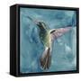 Watercolor Hummingbird II-Grace Popp-Framed Stretched Canvas