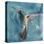 Watercolor Hummingbird II-Grace Popp-Stretched Canvas