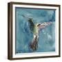 Watercolor Hummingbird II-Grace Popp-Framed Art Print